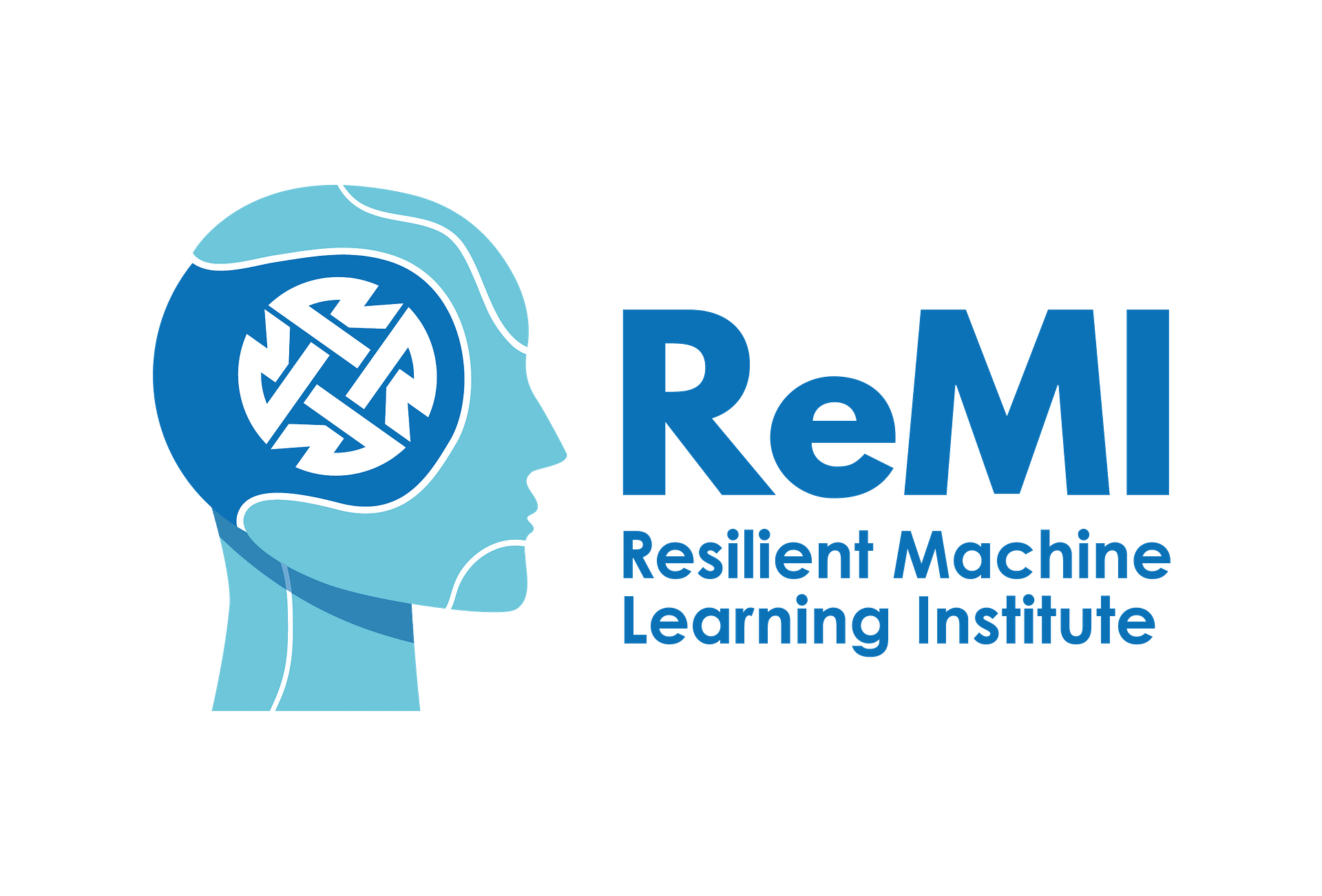 Resilient Machine Learning Institute